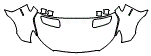 Full Hood and Fender Kit pattern for the 2026 Mercedes Benz Sprinter