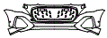 Bumper Kit pattern for the 2027 Audi Q8