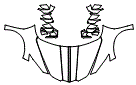 Full Hood, Fender and Mirror Kit pattern for the 2027 Chevrolet Corvette
