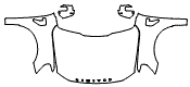 Full Hood, Fender and Mirror Kit pattern for the 2021 Ford F-150