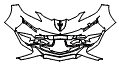 Bumper Kit pattern for the 2027 Chevrolet Corvette