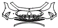 Bumper Kit pattern for the 2024 Mercedes Benz AMG GT