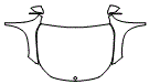 Full Hood, Fender and Mirror Kit pattern for the 2025 Mercedes Benz EQB SUV