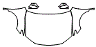 Full Hood, Fender and Mirror Kit pattern for the 2026 Toyota Camry