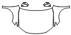 Full Hood, Fender and Mirror Kit pattern for the 2026 Toyota Camry