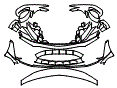 Bumper Kit pattern for the 2025 Mercedes Benz AMG ONE