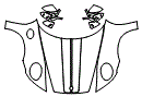 Full Hood, Fender and Mirror Kit pattern for the 2025 Porsche 911 (992.1)