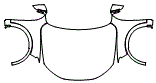 Full Hood, Fender and Mirror Kit pattern for the 2026 Audi Q5