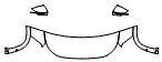Hood, Fender and Mirror Kit pattern for the 2026 Volkswagen Tiguan (Canada)