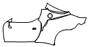 Door and Rear Fender Kit pattern for the 2026 Ferrari 296 Speciale