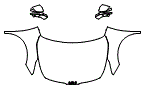 Full Hood, Fender and Mirror Kit pattern for the 2027 Kia Sportage Hybrid