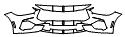 Bumper Kit pattern for the 2026 Ford Mustang