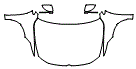Full Hood, Fender and Mirror Kit pattern for the 2026 Volkswagen Golf R