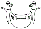 Full Hood, Fender and Mirror Kit pattern for the 2026 Ferrari 296 Speciale