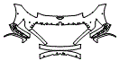 Bumper Kit pattern for the 2026 Aston Martin DB12
