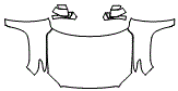 Full Hood, Fender and Mirror Kit pattern for the 2026 Toyota Tundra