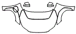 Full Hood, Fender and Mirror Kit pattern for the 2027 Subaru Solterra (Canada)