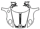 Full Hood, Fender and Mirror Kit pattern for the 2027 Porsche 911 (992.2)
