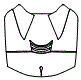 Engine Cover Kit pattern for the 2027 Chevrolet Corvette