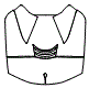 Engine Cover Kit pattern for the 2024 Chevrolet Corvette