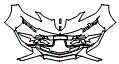 Bumper Kit pattern for the 2027 Chevrolet Corvette