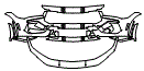 Bumper Kit pattern for the 2026 Ford Mustang
