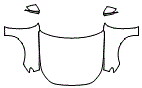 Full Hood, Fender and Mirror Kit pattern for the 2027 Audi RS5 Avant