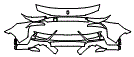 Bumper Kit pattern for the 2027 Ferrari 849 Testarossa