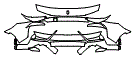 Bumper Kit pattern for the 2027 Ferrari 849 Testarossa