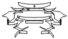 Bumper Kit pattern for the 2027 Ferrari 849 Testarossa