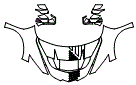 Full Hood, Fender and Mirror Kit pattern for the 2027 Chevrolet Corvette