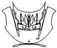 Full Hood Kit pattern for the 2026 Maserati MCXtrema