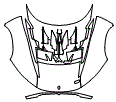 Full Hood Kit pattern for the 2026 Maserati MCXtrema
