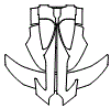 Engine Cover Kit pattern for the 2026 Maserati MCXtrema