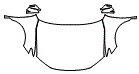 Full Hood, Fender and Mirror Kit pattern for the 2026 Toyota Camry