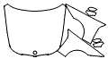 Paint Kit pattern for the 2009 Donkervoot Series 1
