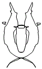 Nose Cone and Mirror Kit pattern for the 2025 BAC Mono R