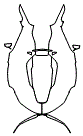 Nose Cone and Mirror Kit pattern for the 2025 BAC Mono R