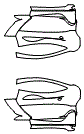 Door pattern for the 2015 McLaren P1