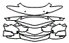 Bumper Kit pattern for the 2017 McLaren 570GT