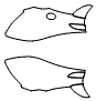 Rear Fender Kit pattern for the 2021 McLaren 570S