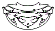 Bumper Kit pattern for the 2020 McLaren 570S GT4