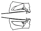 Door Kit pattern for the 2020 McLaren Senna