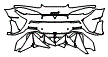 Rear Bumper Kit pattern for the 2021 McLaren 600LT