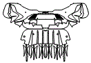Rear Bumper Kit pattern for the 2024 McLaren 765LT
