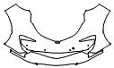 Bumper Kit pattern for the 2022 McLaren Speedtail