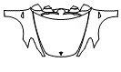 Full Hood, Fender and Mirror Kit pattern for the 2024 Tesla Model 3 (Previous Generation)