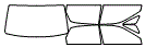 Tint kit pattern for the 2000 Toyota Avalon
