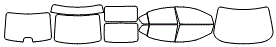 Sun Roof and Tint Kit pattern for the 2010 Nissan Maxima