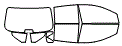 Tint Kit pattern for the 2007 Nissan Versa